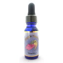 バイタリティ プラス 《アンジェリックエッセンス》 15ml 【メール便対象】【天使/精霊/天界/フラワーエッセンス/高次/アメリカ/アンジェリック】(4)