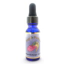 【お買い物マラソン最大2222円クーポン配布中】アナンダマヤ コーシャ #214《アンジェリックエッセンス》 15ml 【メール便対象】【天使/精霊/天界/フラワーエッセンス/高次/アメリカ/アンジェリック/DNA】(4)