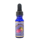 ユニバーサル オーダー(普遍の秩序) 《アンジェリックエッセンス》 15ml 【メール便対象】【天使/精霊/天界/フラワーエッセンス/高次/アメリカ/アンジェリック】(4)