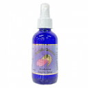 アウェイクニングスプレー《アンジェリックエッセンス》 120ml【天使/精霊/天界/フラワーエッセンス/高次/アメリカ/アンジェリック/芳香蒸留水/フローラルウォーター/アロマスプレー】(4)
