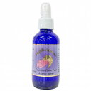 フリーダムフロムフィアスプレー《アンジェリックエッセンス》 120ml【天使/精霊/天界/フラワーエッセンス/高次/アメリカ/アンジェリック/芳香蒸留水/フローラルウォーター/アロマスプレー】(4)