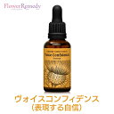 ヴォイスコンフィデンス（表現する自信）《フィンドホーンフラワーエッセンス》30ml フィンドホーン/フラワーエッセンス/日本国内正規品/フィンドホーンフラワーエッセンス/自信