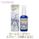 カームミーダウンスプレー(冷静になる)《フィンドホーンフラワーエッセンス》50ml (※順次箱の仕様が変更となります)[フィンドホーン/フラワーエッセンス/日本...