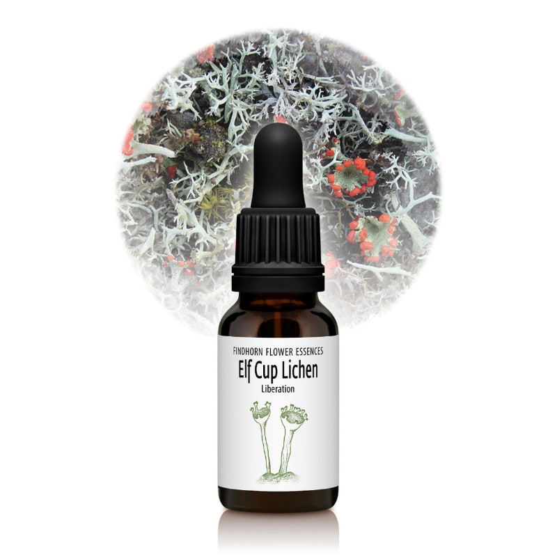 エルフカップライケン（解放）《フィンドホーンフラワーエッセンス》15ml [フィンドホーン/フラワーエ..