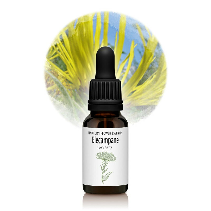 エリキャンペーン（感受性）《フィンドホーンフラワーエッセンス》15ml [フィンドホーン/フラワーエッ..