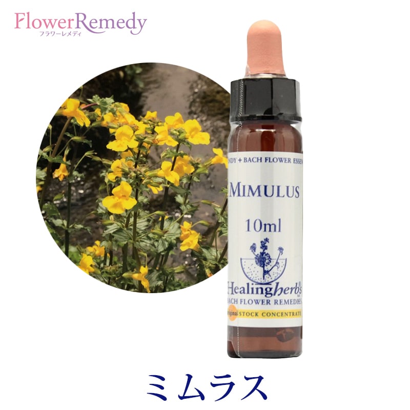 【お買い物マラソン最大2222円クーポン配布中】【取寄せ品】ミムラス《ヒーリングハーブス》10ml【※順次新ラベルに変更となります】 [バッチフラワーエッセンス/フラワーエッセンス/ヒーリングハーブス]のサムネイル