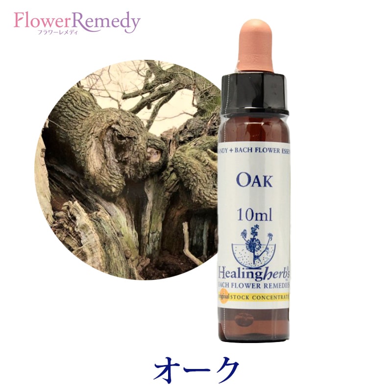 【取寄せ品】オーク《ヒーリングハーブス》10ml【※順次新ラベルに変更となります】 [バッチフラワーエ..