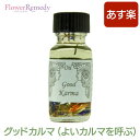 アロマオイル アンシェントメモリーオイル グッドカルマ（よいカルマを呼ぶ） 15ml（正規輸入品 アンシェントメモリーオイル）【メール便対象】[アンシェントメモリーオイル/Ancient Memory Oils/マジカルオイル/フレグランス] その1