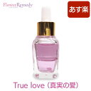 【マラソン★最大2222円クーポン配布中】True love(真実の愛)メッセージオイル 《インナーチャイルドメッセージ》 15ml アロマオイル/マジカルオイル/インナーチャイルド/ハーブ/アロマ/ヒプノセラピー/精油/エッセンシャルオイル/白魔術/レイキヒーリング/カラーセラピー