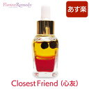 Closest Friend(心友) メッセージオイル 《インナーチャイルドメッセージ》 15ml アロマオイル/マジカルオイル/インナーチャイルド/ハーブ/アロマ/ヒプノセラピー/精油/エッセンシャルオイル/白魔術/レイキヒーリング/カラーセラピー