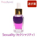 Sexuality（セクシャリティ）メッセージオイル《インナーチャイルドメッセージ》 15ml アロマオイル/マジカルオイル/インナーチャイルド/ハーブ/アロマ/ヒプノセラピー/精油/エッセンシャルオイル/白魔術/レイキヒーリング/カラーセラピー