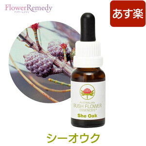 シーオウク《オーストラリアンブッシュ フラワーエッセンス》15ml【メール便対象】[シングルエッセンス/フラワーエッセンス/オーストラリアンブッシュ/妊活]