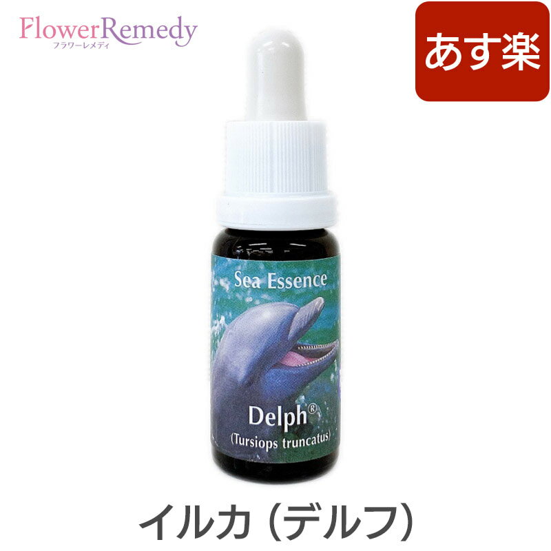 【マラソン★最大2222円クーポン配布中】イルカ エッセンス《コルテPHIエッセンス》15ml　[デルフ/イルカ/Dolphin/イ…