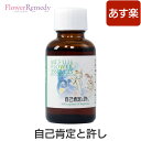 自己肯定と許し《マウントフジフラワーエッセンス》30ml 