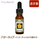 バターカップ（内なる輝かしい子供の姿を思い出す）《パワーオフブラワーヒーリングエッセンス》15ml 米国フラワーエッセンス/イーシャ/シングルエッセンス/パワーオフブラワーヒーリング