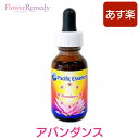 アバンダンスエッセンス《パシフィックエッセンス》30ml [フラワーエッセンス/アバンダンス/豊かさ/パシフィックエッ…