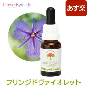 フリンジドヴァイオレット《オーストラリアンブッシュ フラワーエッセンス》15ml【メール便対象】[シングルエッセンス/フラワーエッセンス/オーストラリアンブッシュ/サイキックアタック/保護/プロテクト]