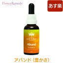 アバンド（豊かさ）《オーストラリアンブッシュ フラワーエッセンス》30ml[コンビネーション/フラワーエッセンス/オーストラリアンブッシュ]