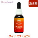 ダイナミス（活力）《オーストラリアンブッシュフラワーエッセンス》30ml [[コンビネーション/フラワーエッセンス/オーストラリアンブッシュ]