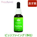 ピュリファイング（浄化）《オーストラリアンブッシュフラワーエッセンス》30ml [コンビネーション/フラワーエッセンス/オーストラリアンブッシュ/浄化]