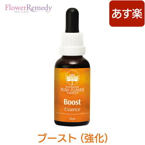 ブースト（強化）《オーストラリアンブッシュフラワーエッセンス》30ml [[コンビネーション/フラワーエッセンス/オーストラリアンブッシュ]