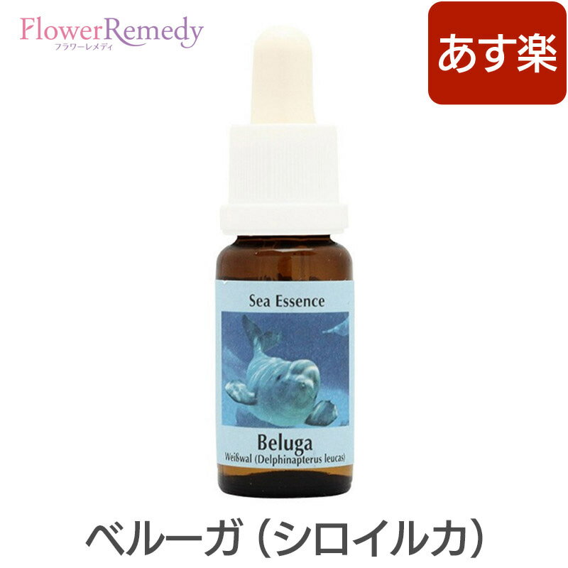 ベルーガ（シロイルカ）エッセンス《コルテPHIエッセンス》15ml シーエッセンス/正規輸入品/フラワーエッセンス/コルテPHI/イルカエッセンス