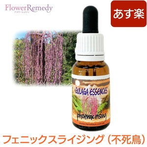 フェニックスライジング《ヒマラヤン・フラワーエンハンサーズ》15ml[ヒマラヤ｜フラワーエッセンス｜ヒマラヤンフラワーエンハンサーズ]