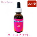 ハートスピリットエッセンス《パシフィックエッセンス》30ml [フラワーエッセンス/ハートスピリット/パシフィックエッセンス]