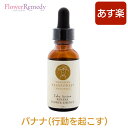 バナナ（行動を起こす）《ハワイアンレインフォレストナチュラルズ》30ml バナナは、周りの人を優先にして自分を後回しにしてしまいがちな人におすすめのフラワーエッセンスです。他人のケアばかりしている人にとって、自分を一番に考えることは困難です。バナナのフラワーエッセンスは自分と相手の境界線をしっかりと保ち、誰かに相談したり許可を得なくても、自分の思うとおりに行動ができ、本当に望んでいるものを得ることができるように導きます。また他人に対する責任や肩の荷をおろし、自分の為にポジティブな選択と行動がとれるようにサポートしてくれます。個を輝かせる第3チャクラに対応するエッセンスです。 こんなあなたにおすすめです！ ・家事や育児におわれて自分の時間がないように感じる ・1人では決められず誰かに相談しないと行動できない ・勇気と自信がもてず、一歩前に踏み出せない ・欲しくても誰かに譲ってしまう ・何かを得るために、他人の力を求めてしまう 特長とメリット ・私はできる！という自信がもてる ・やりたいことができて心が満たされる ・他人の行動が気にならなくなる ・自分にとっての最善を選ぶことができるようになる ・望むものを手に入れることに罪悪感をもたなくなる 店長の一言アドバイス バナナのフラワーエッセンスは自分を後回しにして他人を優先する人にとって助けとなってくれるので、家族のケアに日々忙しい女性には特におすすめです。自分のやりたいことを迷わず選択し行動を起こすことで、あなたにしかない価値が輝きを増します。自分の個性を愛せるようになると、日々の充実感や達成感が心を満たし、人生そのものが幸せなことだと感じられることでしょう。 ボトルに刻印されたメッセージ Take Action (行動を起こす) 開発者メリアグッドナウの言葉 Helps you take action on your own behalf so you can get what you really want. 本当に望むものを得ることができるように、自分自身の為に行動を起こすことをサポートします。 商品の使い方 ハワイアンレインフォレストナチュラルズは1回5滴がおすすめです。 5滴を口に垂らす、または5滴をコップ1杯の水やハーブティーなどに入れて、1日3回を目安に飲みます。 手首や首の後ろ、ツボやチャクラなどに直接つけます。 お風呂に10滴程度加えて、ゆっくりお湯に浸かります。 2種類以上のエッセンスを組み合わせて使用するときには、ひとつのエッセンスにつき3滴に用量を減らしてください。 あくまで目安なので、回数などはご自身の直感で決めて構いません。 内容量：1oz (約30ml) 原材料：蒸留水、フラワーエッセンス、ブランデー、海塩、植物性グリセリン 原産国：米国 製造元：ハワイアン・レインフォレスト・ナチュラルズ デザインが変更になる場合がございます。予めご了承ください。 本品は化粧品や医薬品ではありません。 効果は個人によって異なり、特定の効果を保証するというものではありません。 ハワイアンレインフォレストナチュラルズ 調和のとれたあるべき状態に導くエッセンス その瞬間を生きている花のエネルギーは、意識を「今ここ」に導いてくれます。 ハワイ語で「PONO（ポノ）」という言葉がありますが、これは「調和のとれたあるべき状態」という意味。 ハワイアンレインフォレストナチュラルズのフラワーエッセンスは、過去に受けた傷やトラウマ、執着にとらわれたり、 さきのことを心配したりなどの揺れ動く感情や意識を「今ここ」に導き、調和のとれたあるべき状態へと整えていくことがコンセプトです。 9本で全ての感情をカバー ハワイ島の神聖なエネルギーがたもたれた「鎮守の森」に野生で育つ花から一つ一つ丁寧に作られています。 9本で全ての感情をカバーするようにデザインされたこのエッセンスは、 初めてフラワーエッセンスを使用する方にも取り入れやすく、 シンプルで初めての方にも取り入れやすく一度使うと虜になるほどの人気ブランドです。 心を清め「ポノ」の状態で祈りを捧げる フラワーエッセンスを作る時には、作り手はすべての過程において「ポノ（正しい本来の自然のあるべき状態という意味のハワイ語）」を常に意識し、 花の持つ純粋なエネルギーだけを引き出し、自分たちのエネルギーが決して混じらないように、細心の注意をはらっています。 森や草原に入る時も、心を清めポノの状態を作り、新鮮な花を収穫する前には、そのたびにその植物と、根ざしている大地や森、 その地を守る神に許しを得る祈りをささげます。 採取は早朝、朝露をたたえた開花したばかりの、花が一番パワーをもつ時を選びます。 その花が咲く森、根づく大地、守る神、そしてハワイ島、この豊かさを与えてくれている大自然への祈りをささげ、許しを得るところから始まります。 アロハと感謝を込めて作られるエッセンス 摘んだ花びらは水に浮かべ、太陽の光をあて、その花のもつパワーを水に転写します。そして、アロハと感謝を込めて大地に返します。 ハワイアン文化の叡智がたくさんつまったハワイアンレインフォレストナチュラルズのフラワーエッセンスは たくさんのアロハをもって生み出され、そしてそのアロハはあなたのもとに届けられるのです。 より良い商品をお客様へお届けするために、より多くのお客様の声を伺いたいです。 ぜひ、レビューを書いて頂けたらと思います。 商品ご購入後、商品のレビューをご記入いただいた方全員に 次回のお買い物で使える「1ヵ月間ずーっと500円OFF」クーポンを差し上げます！ レビューご記入はとっても簡単です！下記のリンクよりご確認下さい。 ※商品レビューの書き方