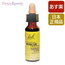 レスキューレメディ グリセリンベース《バッチフラワーレメディ》10ml【メール便対象】[バッチフラワーレメディ/ネル…