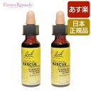 レスキューレメディ グリセリンベース《バッチフラワーレメディ》 10ml 2本セット