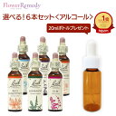 バッチフラワーレメディ アルコールベース(20ml)選べる6本セット【トリートメントボトル20ml1本もれなくプレゼント!!】[正規輸入品/フラワーエッセンス/...