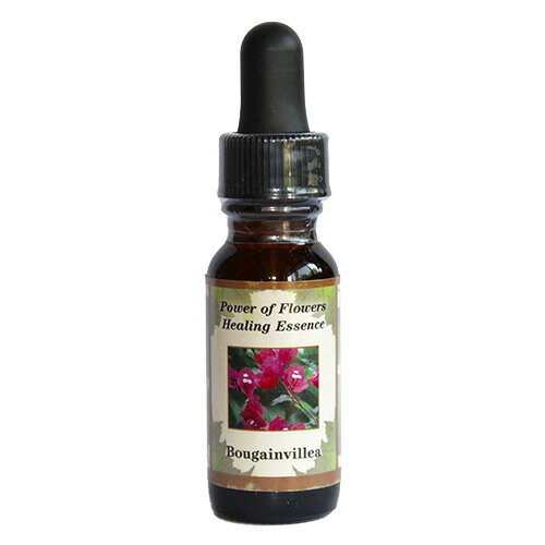 ブーゲンビリア《パワーオブフラワーヒーリングエッセンス》15ml【メール便対象】[アドバンスシングル/フラワーエッセンス/正規輸入品/アメリカ]