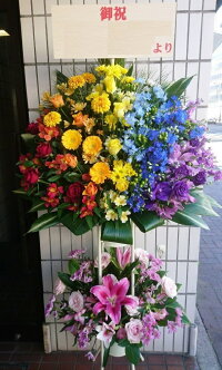 楽天市場 スタンド花 虹色スタンド花25 000円2段 送料無料 生花 虹色 レインボー レインボーカラー 七色 7色 スタンド花 25 000円 誕生日パーティ お祝い ギフト プレゼント 舞台 ライブ コンサート 講演会 開店 式典 祝賀会 Rainbow 目立つ 新宿 四谷 楽天 楽天市場 スタンド花 虹色スタンド花25 000円2段 送料無料 生花 虹色 レインボー レインボーカラー 七色 7色 スタンド花 25 000円 誕生日パーティ お祝い ギフト プレゼント 舞台 ライブ コンサート 講演会 開店 式典 祝賀会 Rainbow 目立つ 新宿 四谷 楽天