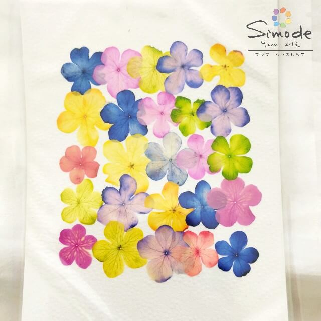 ��S-891���忧���ޤ� 23��ʥ����ǥޥ�˲ֺ� ���� �������Ǻ� �����ֳ� �쥸�� �ե� �ϡ��Хꥦ�� �ϥ�ɥᥤ�� �����ɥ� ������ ��å��������� �����륫��ܡ��� �֥饤���� �����ǥ��� �忧 ���ޥۥ�����