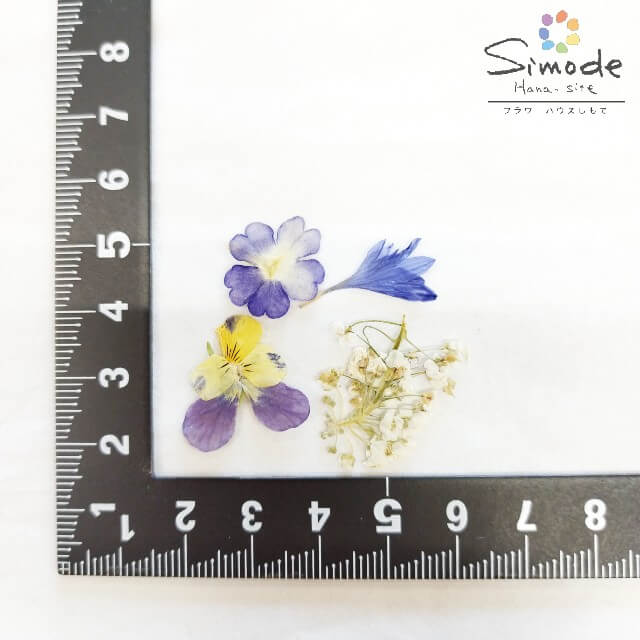 【S-1180】押し花 小花ミックスビオラ・アリッサム・矢車草・バーベナ　計30枚花材 押し花額 ミックス レジン フラワー キャンドル アロマ ワックス サシェ 材料 ウェルカムボード ブライダル　ウェディング