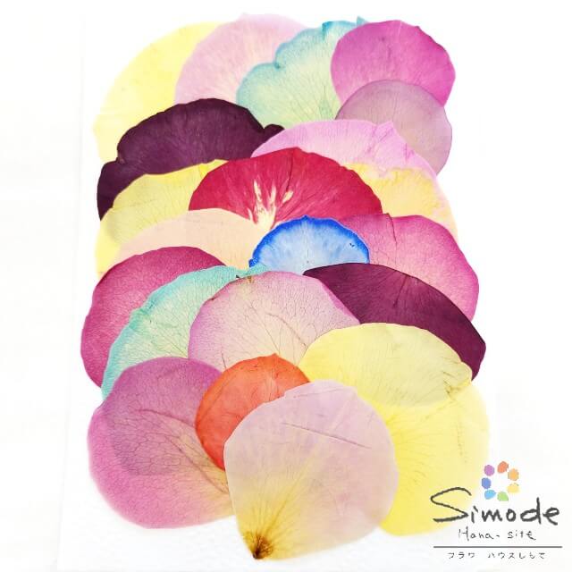 【S-1192】バラの花びらおまかせミックス　20枚【ばら、ローズ、薔薇】【飛騨】【山野草の押し花】【押..