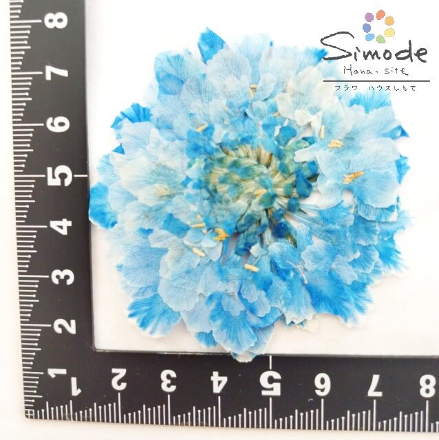 ��S-1200�۲����� �Ǻॹ���ӥ����ߥå����� 6��ֺ� �������Ǻ� �����ֳ� ���� �����륫��ܡ��� �ͥ��� �ԥ��� �ϥ�ɥᥤ�� �ϡ��Хꥦ�� �쥸�� �ե� �����ɥ� ������ ��å��� ������ ���� ���襤�� �դ��դ�