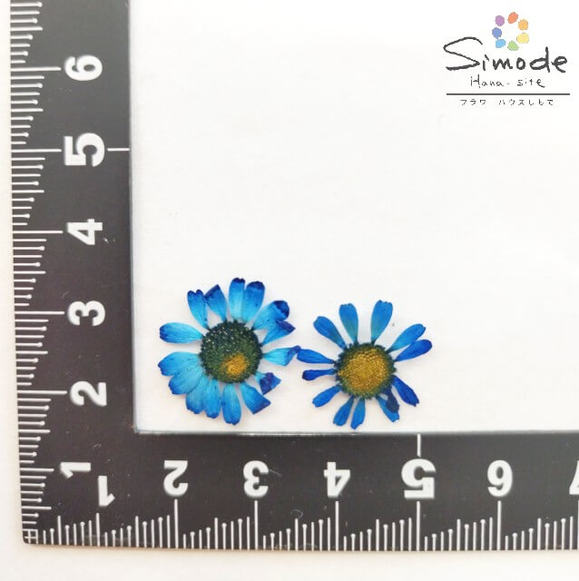 ��S-1197���忧�ޥȥꥫ�ꥢ���ġˡ�30����������ۡ͡ڻ�����β����֡ۡڲ����֥ѥå��ۡڲ������Ǻ�ۡڼ���ۡڥ��åȡۡڥ쥸��ۡڥϥ�ɥᥤ�ɡ�