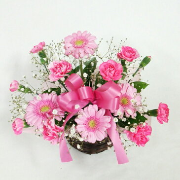 【送料無料】まだ間に合う母の日！ピンクのカーネーションの花かごアレンジメントお花いっぱい！カーネーション、ガーベラとカスミソウでふんわり仕上げました！　お花が大好きなお母さんへ。