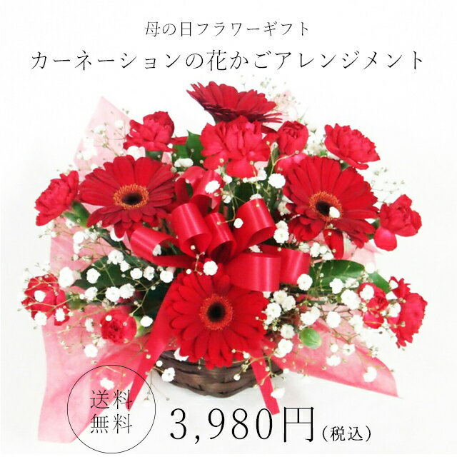 【送料無料】まだ間に合う母の日！真っ赤なカーネーションの花かごアレンジメントお花いっぱい！カーネーション、ガーベラとカスミソウで仕上げました！お花が大好きなお母さんへ