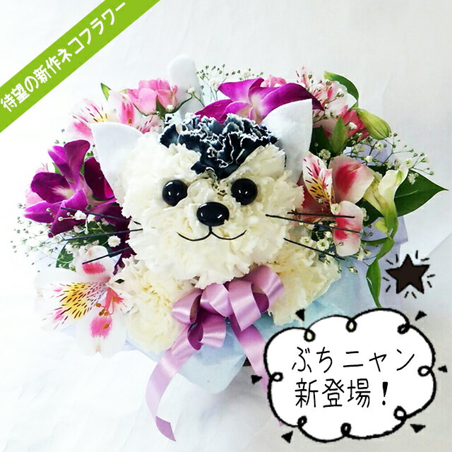 ブチネコちゃんのアニマルフラワー アレンジメント生花 誕生日 記念日 お祝 プレゼント 結婚祝い 出産祝い 退職 ギフト カーネーション ペットのお供え 猫好き　　かわいい贈り物　お花　イベント　発表会　卒業お祝い　入学お祝い　開店お祝いの花　送別の花のサムネイル