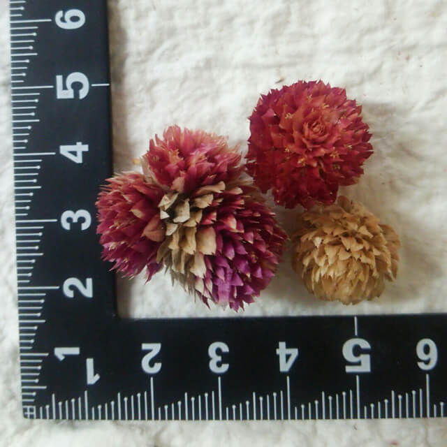 �������꾦�ʡ������ȥ�åȡۥɥ饤�ե�������˥������������ȡ��ֻ����13�����˥���˥����� ������ �ɥ饤�ե� �ϥ�ɥᥤ�� ����ե� DIY �Ǻ� �꡼�� ����å� �ϡ��Хꥦ�� �쥸�� �ե� �����ɥ� ������ ��å��� ������ �� ����