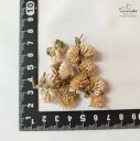【新物入荷!当店の畑から産地直送!!】ドライフラワー センニチコウ小粒ベージュ・約10個(千日紅・せんにちこう)飛騨産ハーバリウム、スワッグ、リースなどに