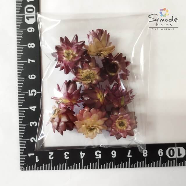 �ڿ�ʪ���١���Ź��Ȫ���黺��ľ�������ۥɥ饤�ե� �إꥯ�ꥵ�ྮγ�ߥå���ǻ���ַ� ��10�ġʳ����𡦤ؤ꤯�ꤵ������ͻ��ϡ��Хꥦ�ࡢ����å����꡼���ʤɤ�