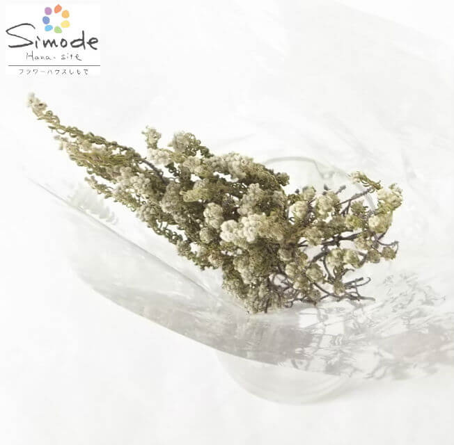 ドライフラワー 素材ワイルドコットンフラワー4〜5本(長さ 約30センチ)ナチュラル インテリア 手作り ..