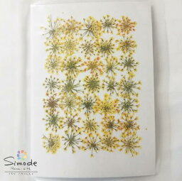 【S-1036】押し花　着色レースフラワー黄色　35枚飛騨のお花屋さんが手作りしました。安全安心の国産品質です。