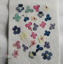 【S-1100】押し花 小花ミックス 青系バーベナ、アジサイ 計25枚花材 押し花素材 押し花額 ミックス レジン フラワー キャンドル アロマ ワックス サシェ 材料 ウェルカムボード ブライダル ウェディング