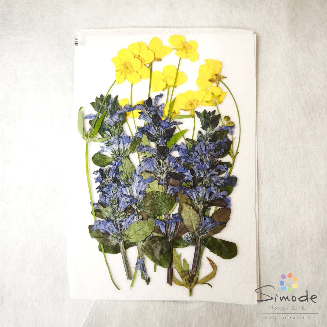 商品詳細 花材 キンポウゲ、十二単 素材サイズ 掲載画像を参照ください。 商品について 乾燥材入りの真空パックの状態でお届け致します。 ご注意点 ・商品は自然素材です。色・形など掲載画像と異なることがございます。 ・その季節・時期に獲れた自然素材をパック詰めいたしております。素材の色、形のご要望は承ることができません。ご了承下さい。