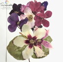 【訳アリ商品・アウトレット】押し花 素材シクラメンミックス 10枚入花材 押し花素材 お花屋さん 押し花額 押し花材料 ハンドメイド ハーバリウム レジン ウェ...